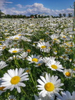 IMG 20200606 154015