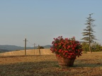 P1160078